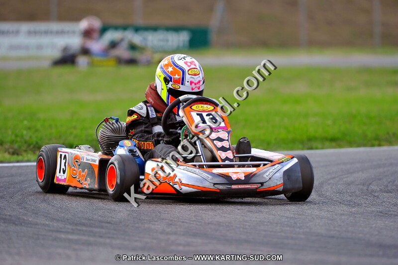 DSC_ (897).jpg